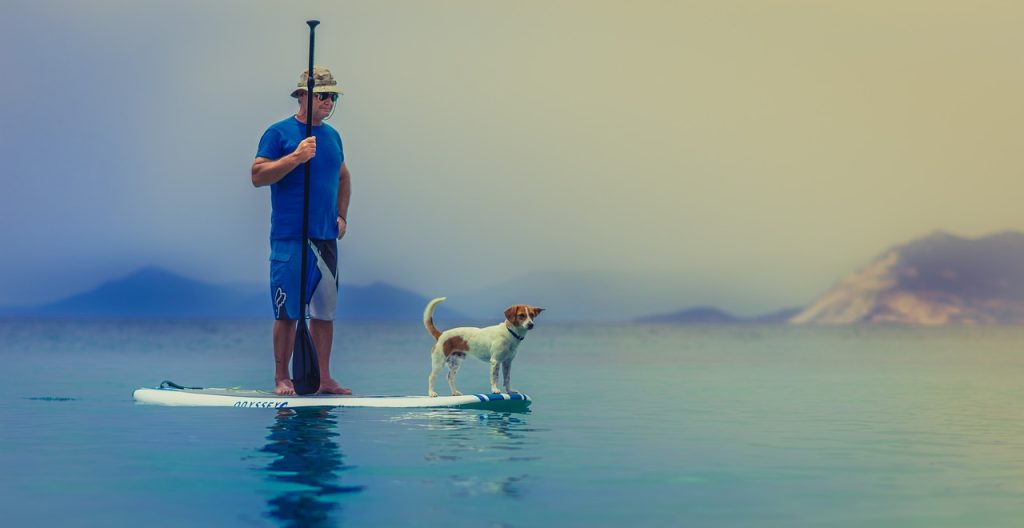 Czym kierować się, zabierając psa na wakacje?
