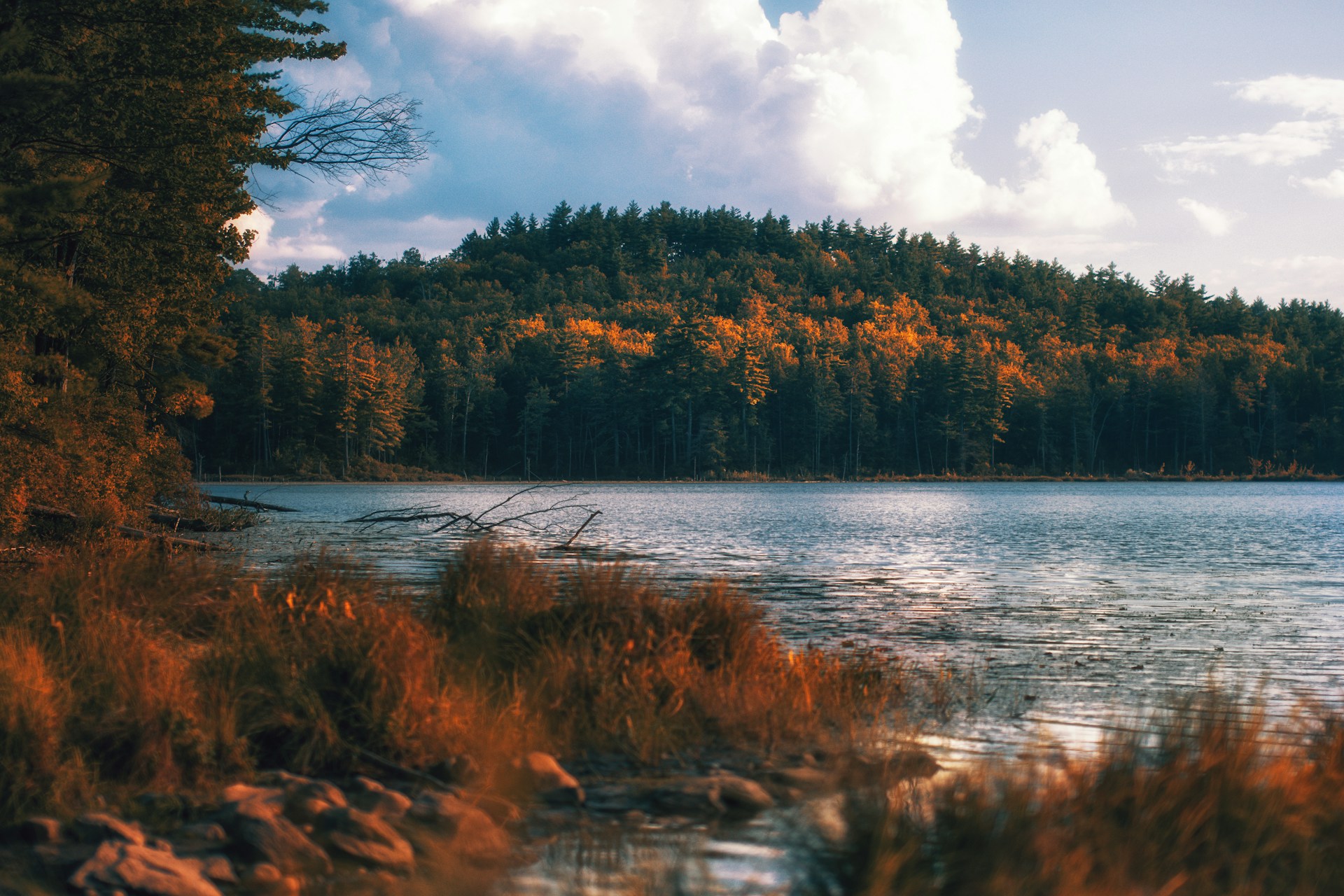 Dlaczego Szczawnica jesienią to najpiękniejszy kierunek na wypoczynek?
